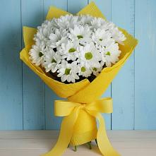 Букет цветов из:  Хризантемы #REPLACE_PRED# Негомож