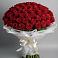 Букет 101 Красная роза Блэк Мэджик в Негомож