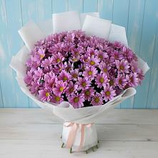 Букет цветов из:  Хризантемы #REPLACE_PRED# Негомож