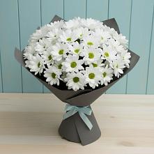 Букет цветов из:  Хризантемы #REPLACE_PRED# Негомож