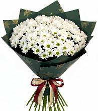 Букет цветов из:  Хризантемы в Негомож