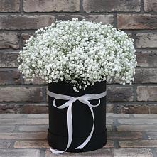 Цветочная композиция из Гипсофила в шляпной коробке в Негомож