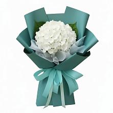 Букет цветов из:  Гортензия в Негомож
